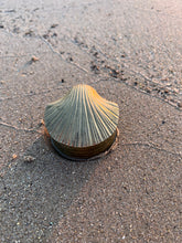 Load image into Gallery viewer, Brass Clam Shell Trinket box
