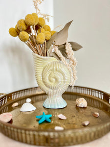 Spiral Sea Shell Vase